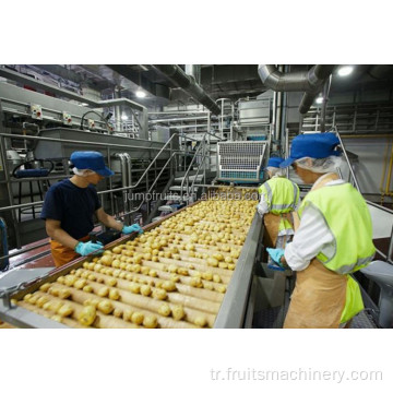 Otomatik dondurulmuş patates kızartması üretim hattı